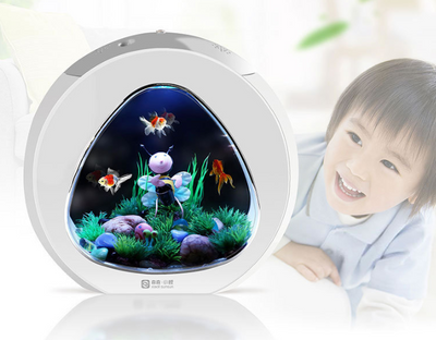 Desktop fish tank aquarium